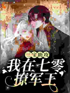 三宝助攻:我在七零撩军王
