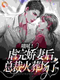 桑田薄肆by千斤怀里的猫 哦吼！虐完娇妻后，总裁火葬场了小说全文阅读