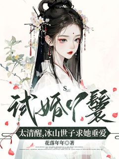 《试婚丫鬟太清醒,冰山世子求她垂爱》小说全文在线阅读 林晚玉陆怀瑾小说全文