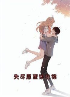 《失尽愿望徐在锦》小说完结版免费试读 徐在锦赵培宴小说全文