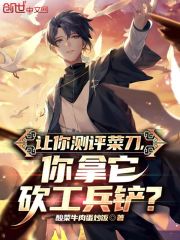 《让你测评菜刀，你拿它砍工兵铲？》小说章节目录在线试读 赵枫吴海小说阅读