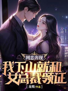 网恋奔现，我下山就和女总裁领证免费试读 林晨苏晓晓是什么小说