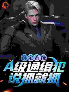 《绑定系统:A级通缉犯说抓就抓》小说全文免费阅读 《绑定系统:A级通缉犯说抓就抓》最新章节目录