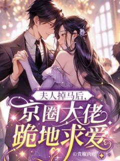 主角是盛娆晏迟的小说 《夫人掉马后，京圈大佬跪地求爱》 全文精彩试读