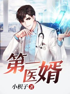 陈宇沐歆瑶大结局在线阅读 《第一医婿》免费阅读