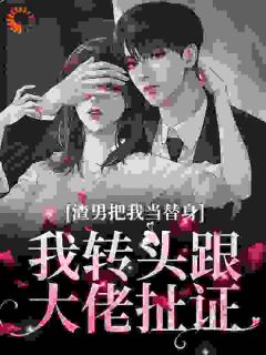 前男友白月光回国,我闪婚了小说精彩章节免费试读(主角沈南乔裴奕)