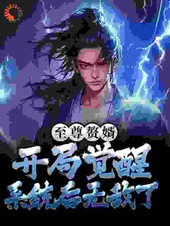 至尊赘婿:开局觉醒系统后无敌了