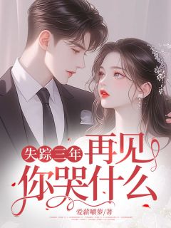 失踪三年，再见你哭什么？完整全文阅读 夏珊江枫小说结局无删节