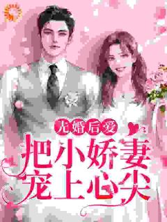 《理智点，嫁给我！》小说章节列表在线阅读 许知宜明锐小说阅读