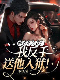 娇养菟丝花?我反手送他入狱!完整版在线阅读(主角南乔霍北城)