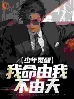 《少年觉醒，我命由我不由天》全文阅读 庄小强庄大民庄映雪小说章节目录