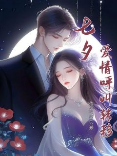 《七夕,爱情呼叫转移》小说全文精彩阅读 《七夕,爱情呼叫转移》最新章节目录