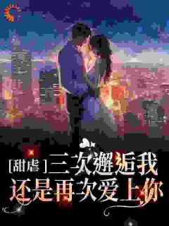 甜虐:三次邂逅我还是再次爱上你