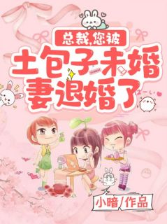 《总裁,您被土包子未婚妻退婚了》叶歌阑萧容止大结局精彩阅读