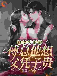 追妻失败后,傅总他想父凭子贵免费阅读(盛以安傅承烨全本资源) 无广告