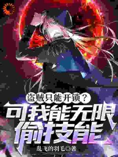 《盗贼只能开锁？可我能无限偷技能》(风九元凤)小说阅读by乱飞的羽毛