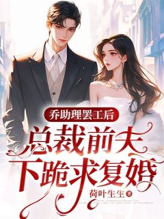 《乔助理罢工后，总裁前夫下跪求复婚》小说章节列表在线阅读 秦北深乔雨初小说阅读