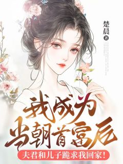 我成为当朝首富后,夫君和儿子跪求我回家!(华容上官允)全文完结在线阅读完整版