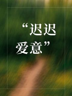 迟迟爱意姜岁纪辞江念精彩内容在线阅读