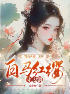 宠妾灭妻,主母白马红缨守边疆