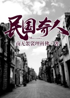 民国奇人甘十三鲁大 民国奇人免费阅读