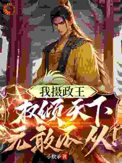 《我摄政王，权倾天下，无敢不从！》小说全文在线阅读 柯笑妍沈伯炀小说阅读