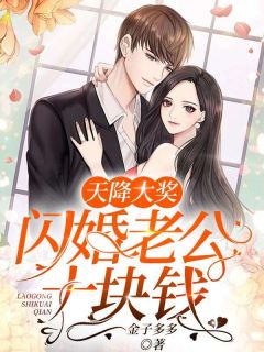 天降大奖:闪婚老公十块钱