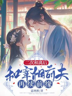 二次和离后,和宰相前夫再续前缘