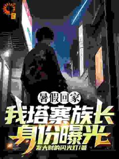 热文《暑假回家，我塔寨族长身份曝光》叶然王宇全文无弹窗阅读