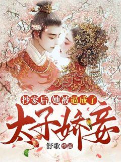 抄家后,她被逼成了太子娇妾
