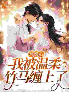 宁汐顾淮景by顾小妖 离婚后,我被温柔竹马缠上了全文免费阅读