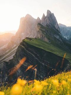 我死后,她一夜白头