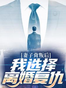 妻子背叛后，我选择离婚复仇赵山河苏琉璃小说精彩内容免费试读