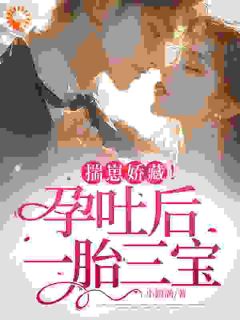 揣崽娇藏！孕吐后一胎三宝温冉宁顾衍深小说完整篇在线阅读