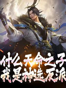 主角是林叶唐雪琴的小说 《什么天命之子，我是神选反派》 全文免费阅读