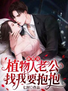 新婚夜,植物人老公找我要抱抱沈冉顾琛全文阅读 作者七封
