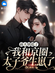 《前夫别追了，我和京圈太子爷生崽了》南梨秦时晏章节目录精彩试读