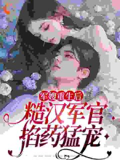 重生后,我被高冷军官老公宠上天