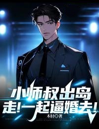 小师叔出岛,走!一起逼婚去!完整版小说在线阅读地址 主角叶开夏诗雨