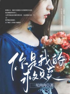 小说《你是我的救赎》宋玉秦少全文免费阅读