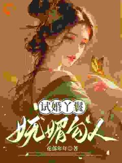 试婚丫鬟妩媚勾人主角林晚玉陆怀瑾小说完整版全文在线阅读
