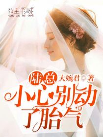 陆总,小心别动了胎气