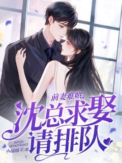 前妻难哄，沈总求娶请排队免费阅读 任嘉嘉沈熠的小说免费试读