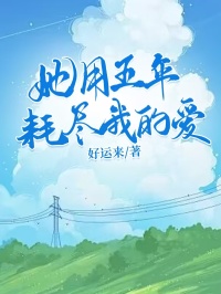 她用五年耗尽我的爱小说最新章节免费阅读(精彩章节未删节)