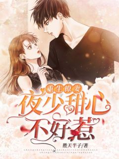 重生撩妻:夜少甜心不好惹