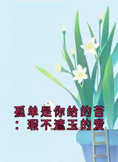 孤单是你给的苦:瑕不遮玉的爱全集免费在线阅读(孟思遐邵珈宸)