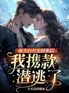 前夫白月光回来后,我携款潜逃了