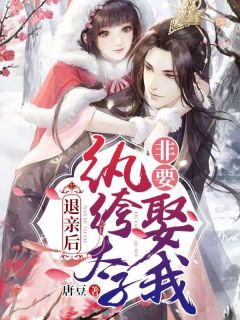 退亲后,纨绔太子非要娶我宠我!