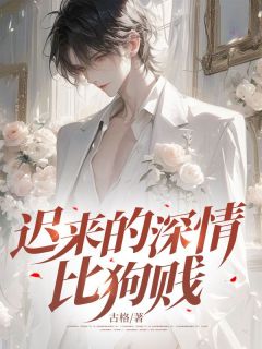 《迟来的深情比狗贱》小说章节列表精彩阅读 徐泽贾微微小说全文