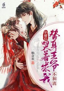 《穿越后，替身王爷哭着求我不和离》小说章节列表精彩阅读 叶知舟宁渡小说全文